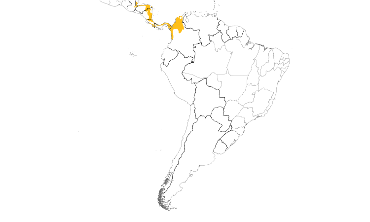 Range Map (South): Bare-crowned Antbird