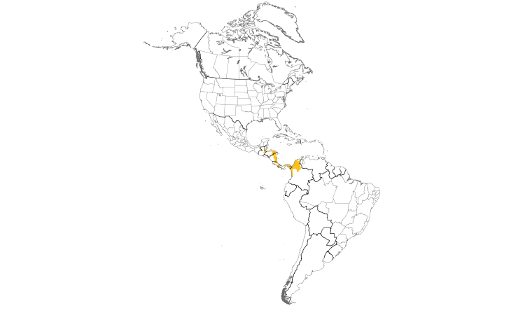 Range Map (Americas): Bare-crowned Antbird