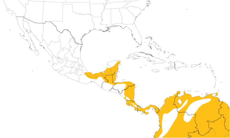 Range Map (Central): Double-toothed Kite