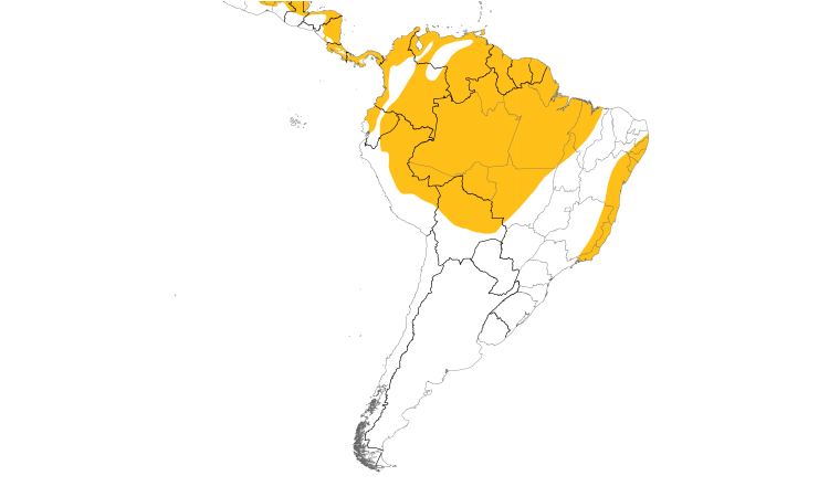 Range Map (South): Double-toothed Kite
