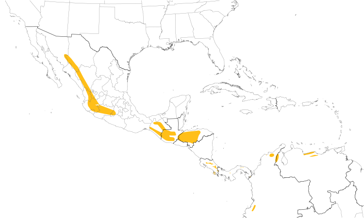 Range Map (Central): Solitary Eagle