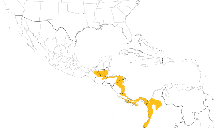 Range Map (Central): Purple-crowned Fairy
