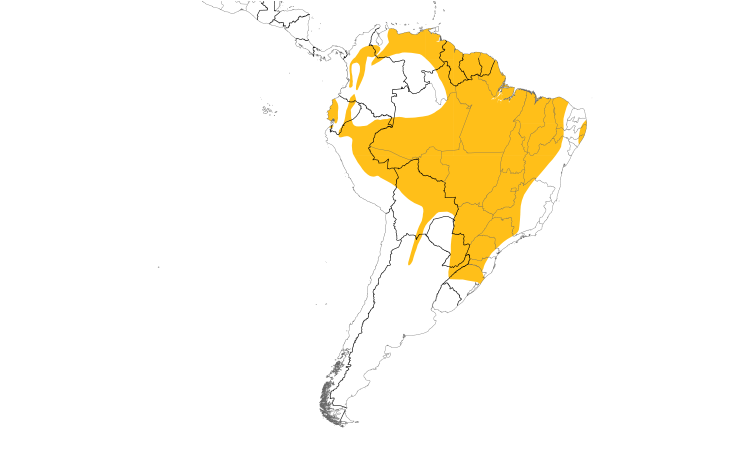 Range Map (South): Guira Tanager
