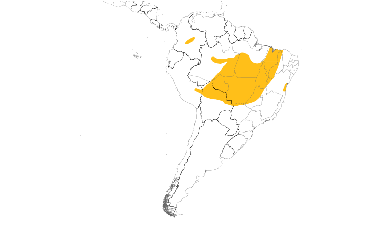 Range Map (South): Stripe-necked Tody-Tyrant
