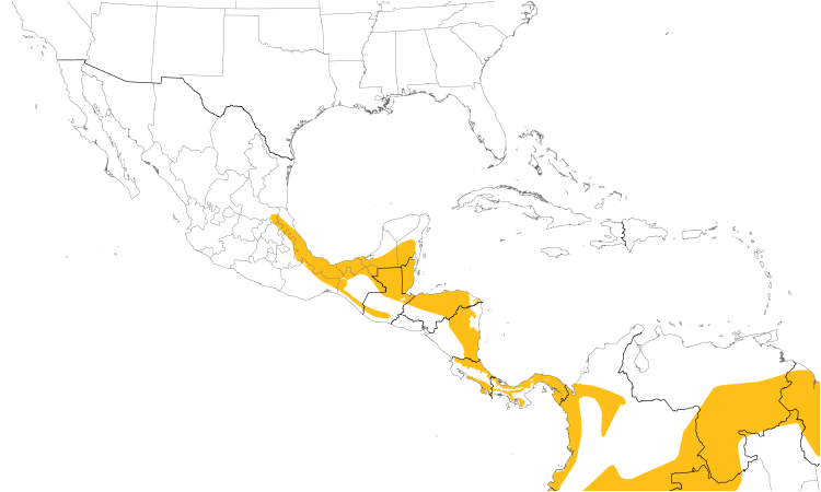 Range Map (Central): White-breasted Wood-Wren