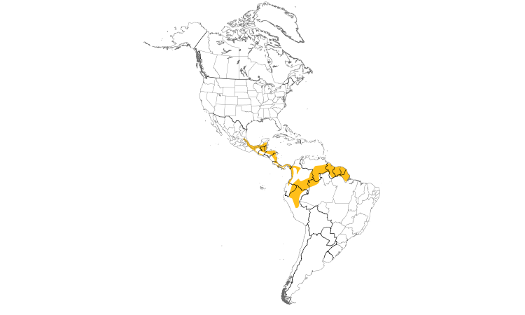 Range Map (Americas): White-breasted Wood-Wren