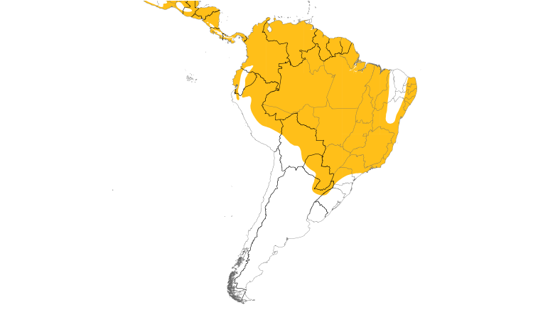 Range Map (South): Laughing Falcon