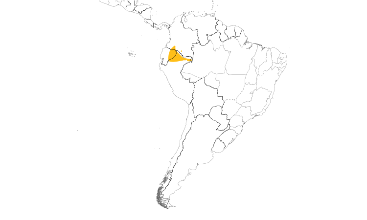 Range Map (South): Dugand's Antwren