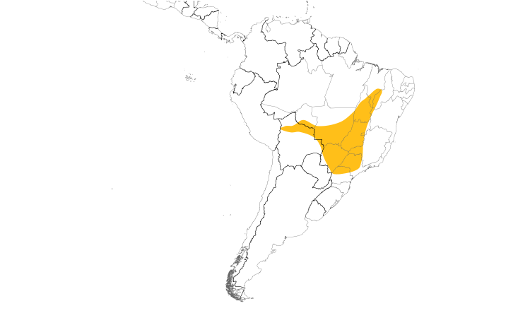 Range Map (South): Large-billed Antwren