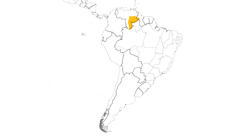 Range Map (South): Roraiman Antwren