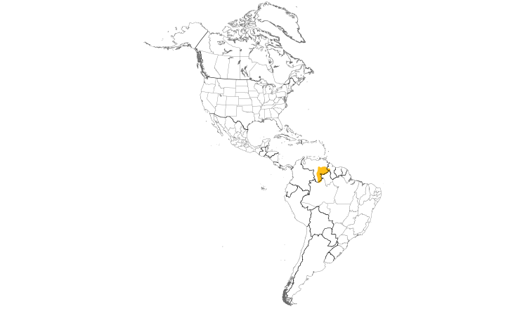 Range Map (Americas): Roraiman Antwren