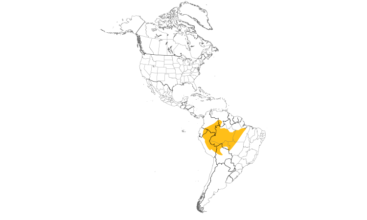 Range Map (Americas): Dusky-capped Greenlet
