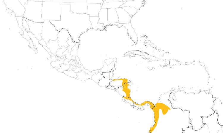Range Map (Central): Spotted Antbird