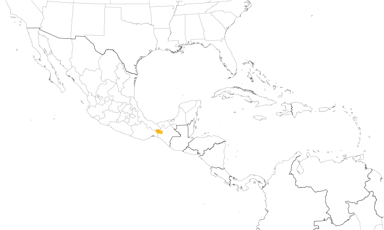 Range Map (Central): Nava's Wren