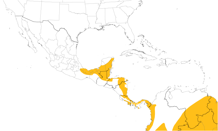Range Map (Central): Tawny-crowned Greenlet