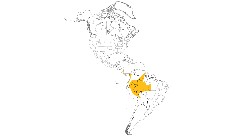 Range Map (Americas): Striped Woodhaunter