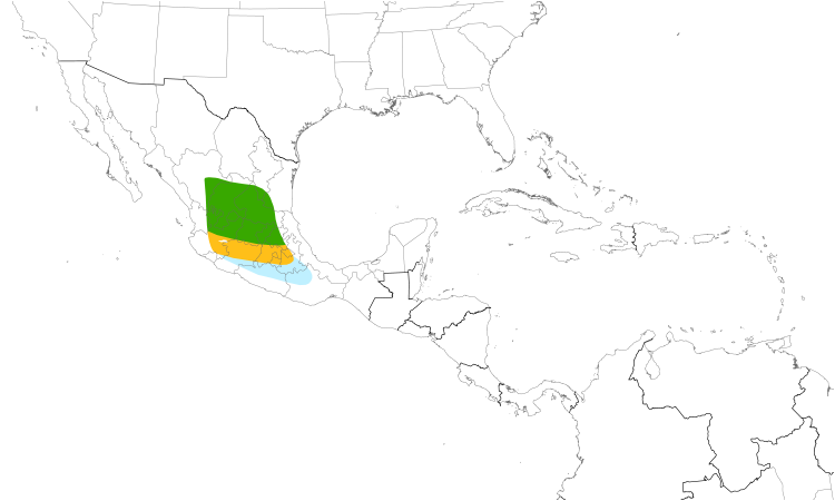 Range Map (Central): Black-backed Oriole
