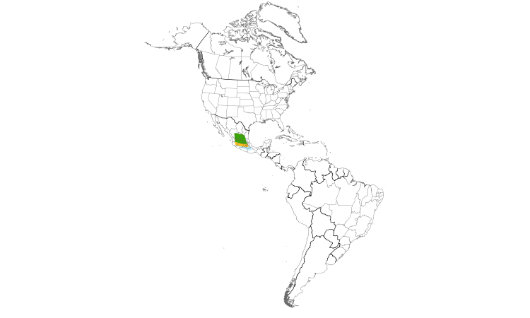 Range Map (Americas): Black-backed Oriole