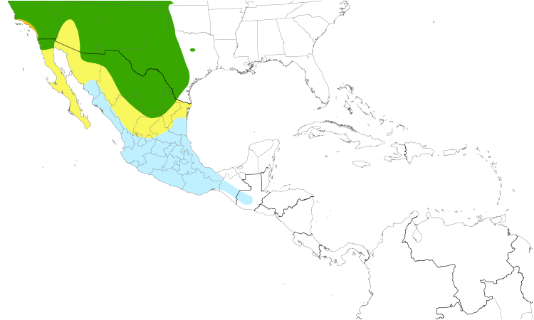 Range Map (Central): Bullock's Oriole