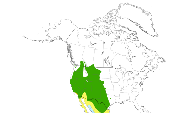 Range Map (North): Bullock's Oriole