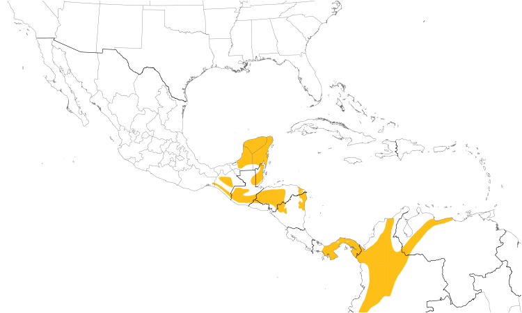 Range Map (Central): Yellow-backed Oriole