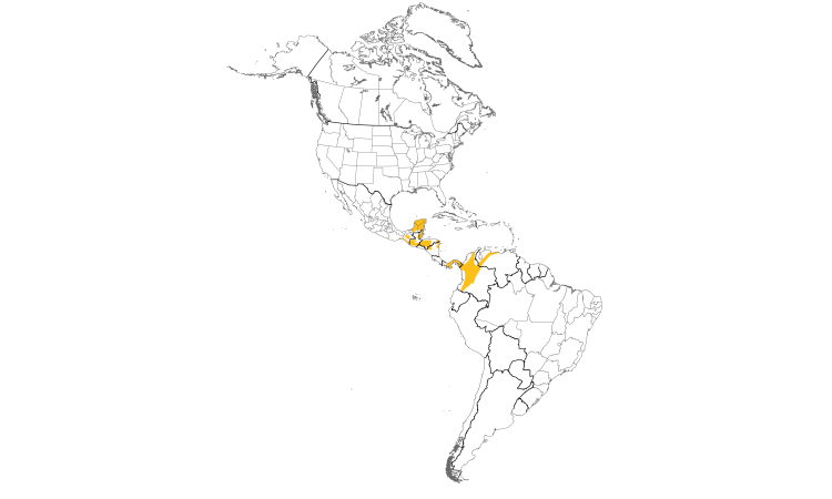 Range Map (Americas): Yellow-backed Oriole