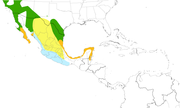 Range Map (Central): Hooded Oriole