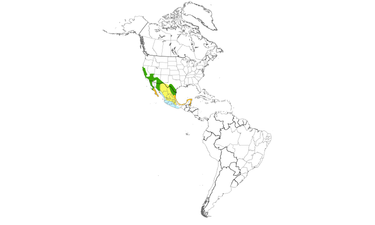 Range Map (Americas): Hooded Oriole