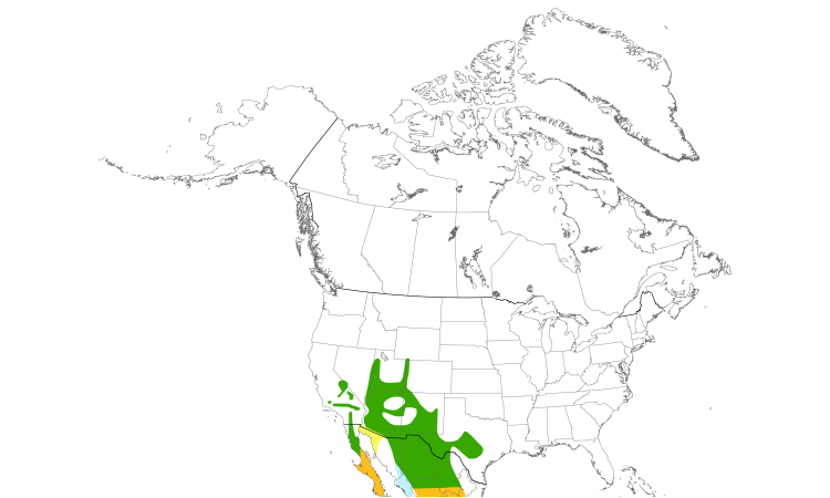 Range Map (North): Quiz Species