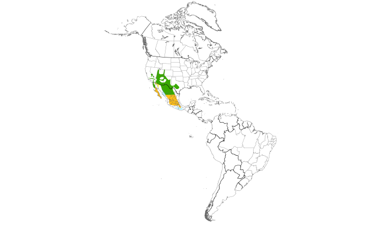 Range Map (Americas): Quiz Species
