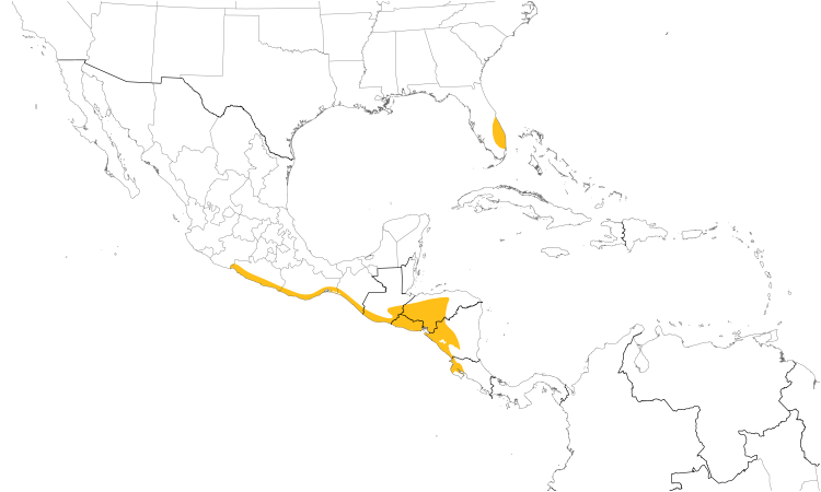 Range Map (Central): Spot-breasted Oriole