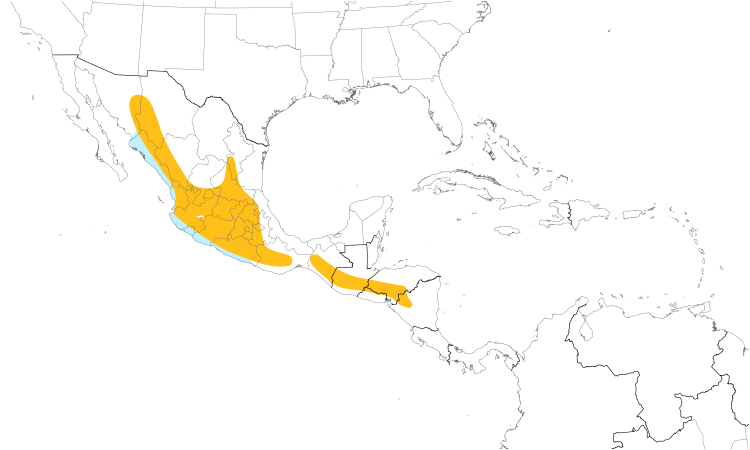 Range Map (Central): Black-vented Oriole