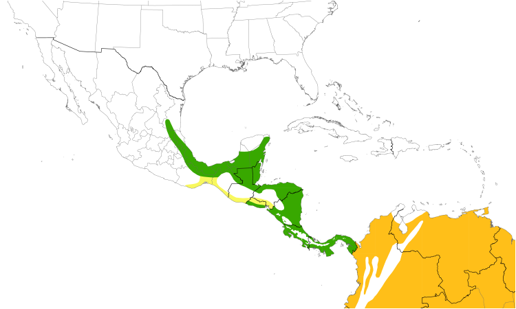 Range Map (Central): Plumbeous Kite