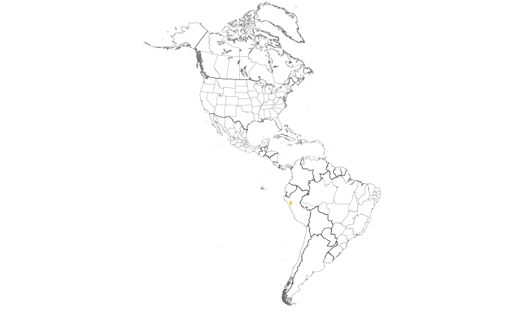 Range Map (Americas): Buff-bridled Inca-Finch