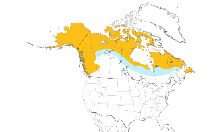 Range Map (North): Willow Ptarmigan