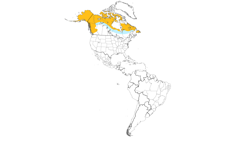 Range Map (Americas): Willow Ptarmigan