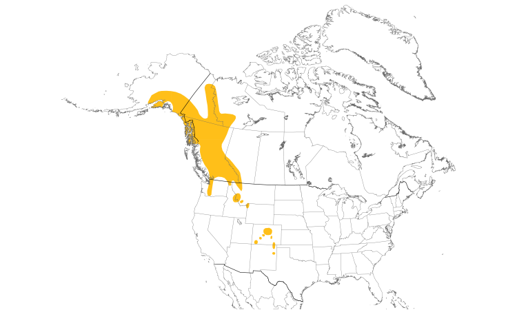 Range Map (North): White-tailed Ptarmigan