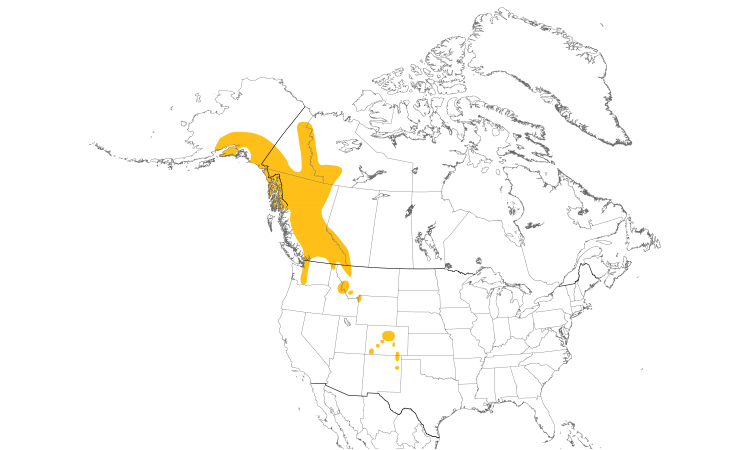 Range Map (North): White-tailed Ptarmigan