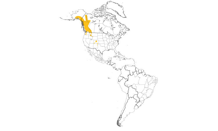 Range Map (Americas): White-tailed Ptarmigan