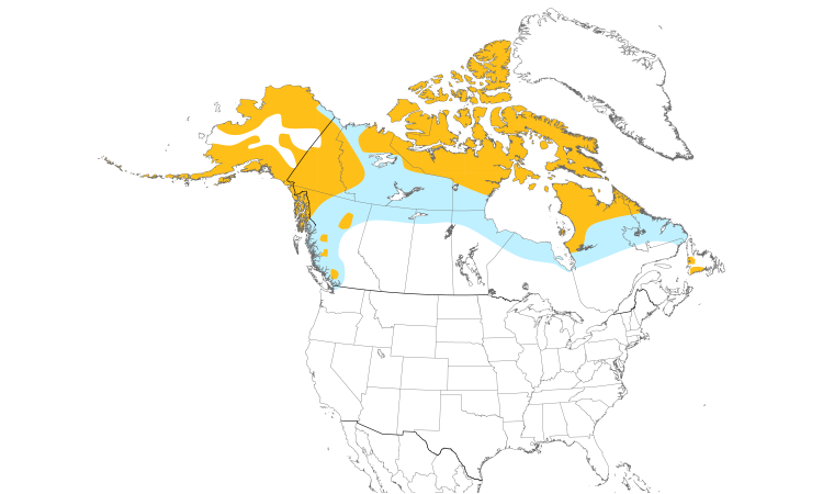 Range Map (North): Rock Ptarmigan