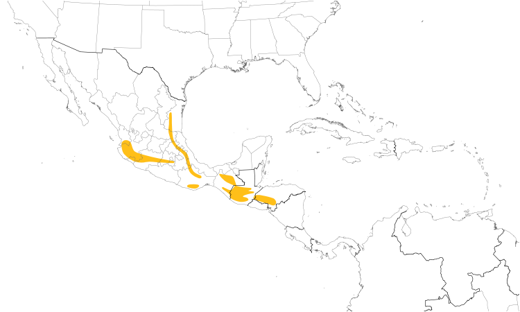 Range Map (Central): Amethyst-throated Hummingbird