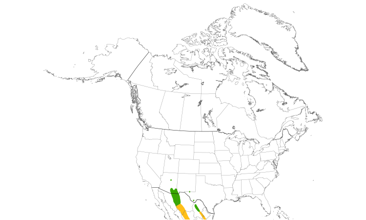Range Map (North): Blue-throated Hummingbird