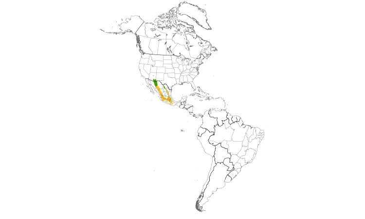 Range Map (Americas): Blue-throated Hummingbird