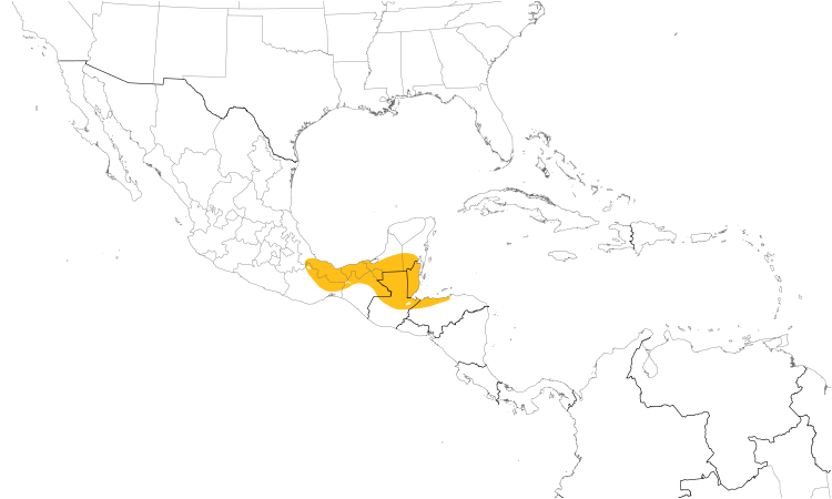 Range Map (Central): Black-throated Shrike-Tanager