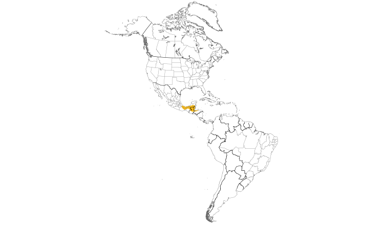 Range Map (Americas): Black-throated Shrike-Tanager