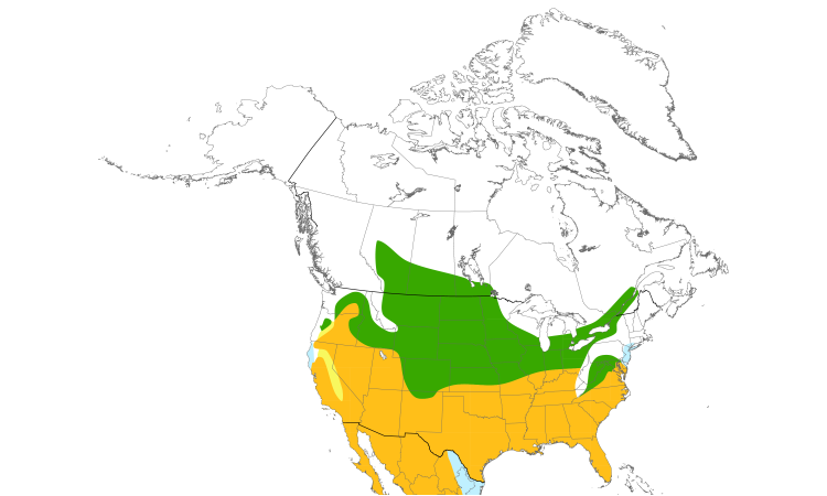 Range Map (North): Loggerhead Shrike