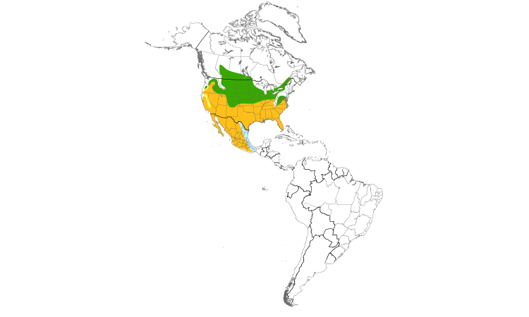 Range Map (Americas): Loggerhead Shrike