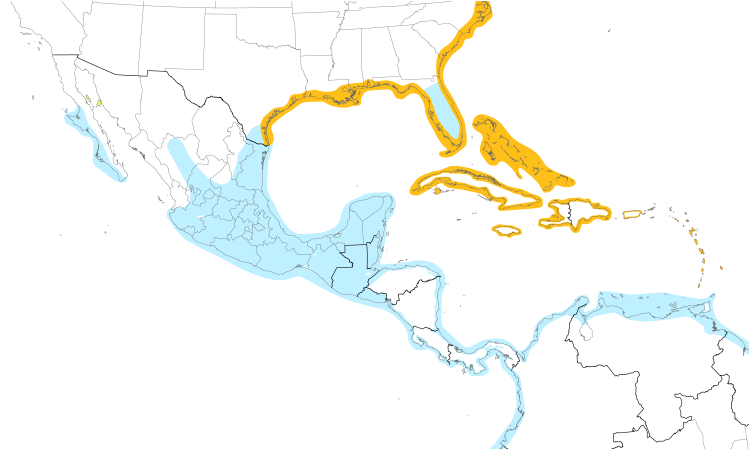 Range Map (Central): Laughing Gull