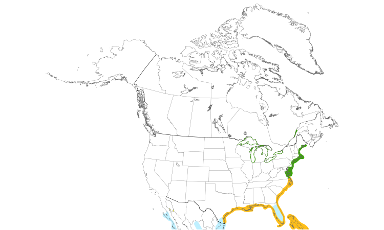 Range Map (North): Laughing Gull