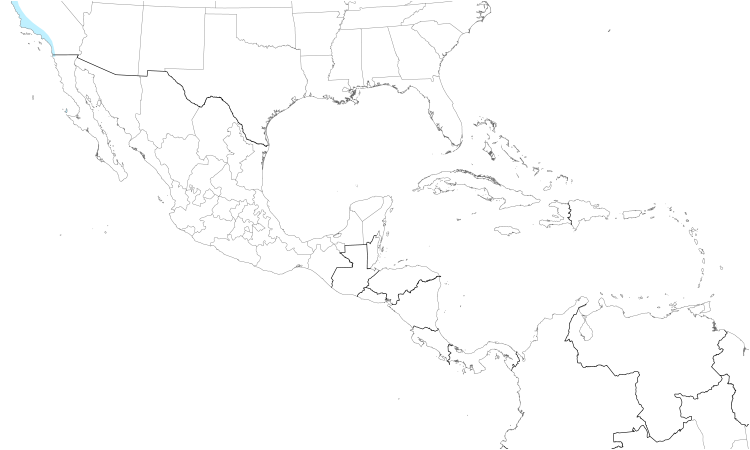 Range Map (Central): Mew Gull